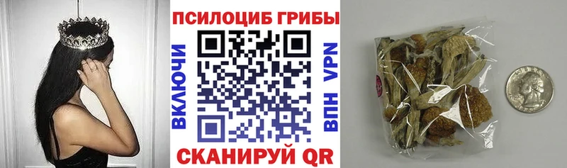 Галлюциногенные грибы мицелий  Купить  Суровикино 